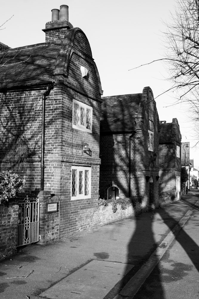Shadows of trees spreading across old buildings with stained glass windows
