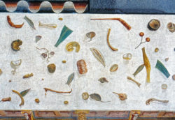Roman Mosaic depicting foodstuff that has been dropped on the floor