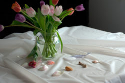 A vase of dying tulips on a white table cloth with shells and a bone in front