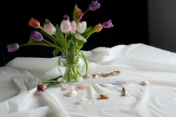 A vase of dying tulips on a white table cloth with shells and a bone in front